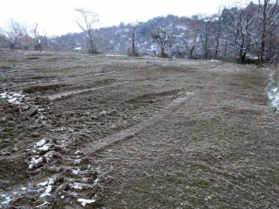 Boppard: Eisenbolz/Hintere Dickt