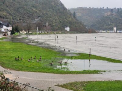 Hochwasser am Mittelrhein
