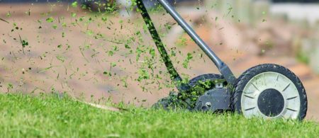 Mähen, Vertikutieren und Düngen:&nbsp;Den Rasen im Frühjahr fit für den Sommer machen